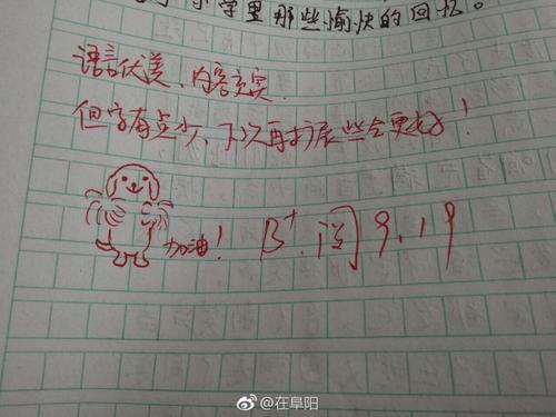 可爱的阜阳 描写阜阳的作文400字