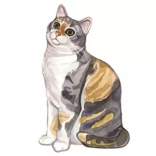 作文复习：写人作文，怎么读？怎么写？怎么学？ 10