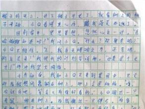 假期的生活 我的假期生活作文500字