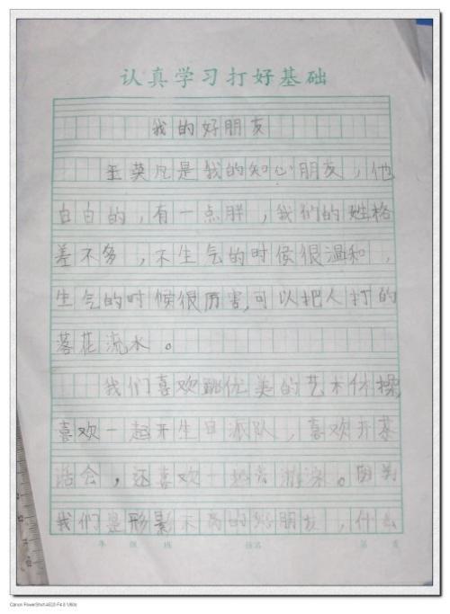 冯阳 我的榜样作文500字