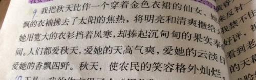 秋天的树叶作文550字
