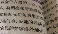 秋天的树叶作文550字