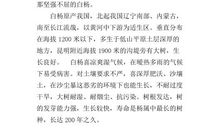 白杨的读后感范文