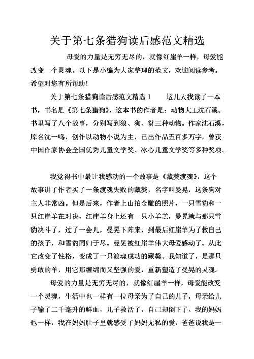 大象学校读后感范文