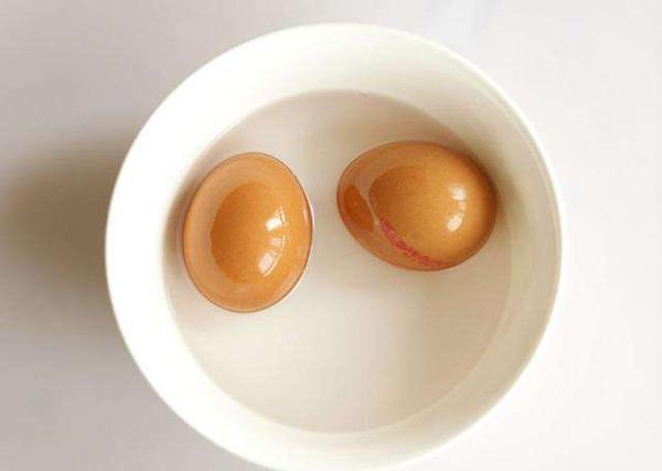 郑州东方作文学生作品：《教“小胖子”游泳》
