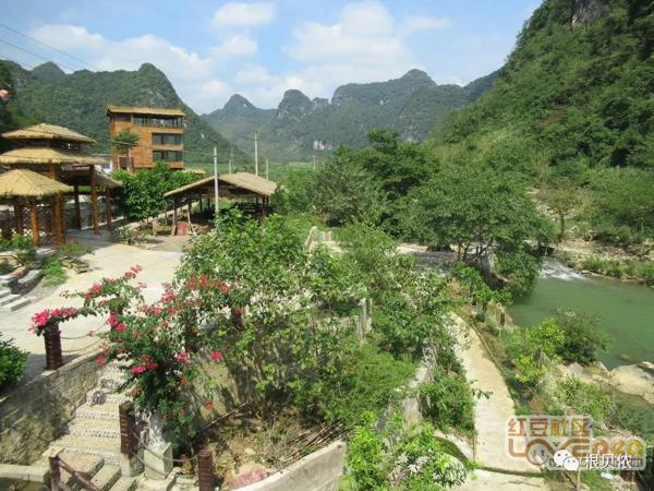 大新三联中屯、榄圩上吉乡间，稻作文化印记 30