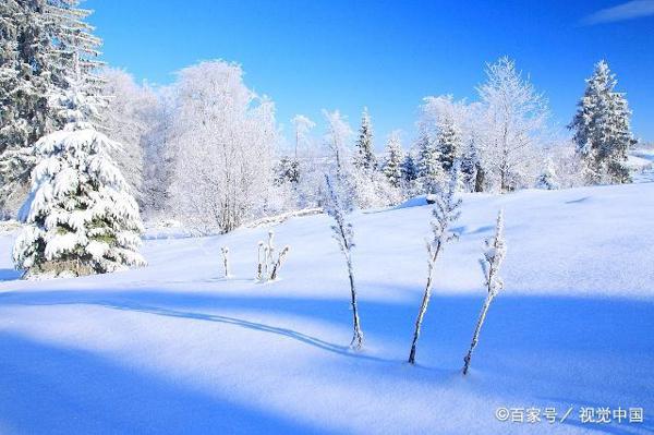 不会写雪景作文?别愁!这样写令读者拍手叫好 1