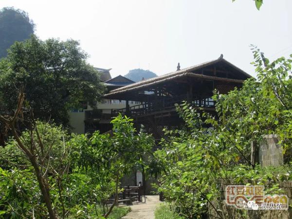 大新三联中屯、榄圩上吉乡间，稻作文化印记 28