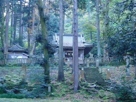 【锐作文】少女哭又笑，只因芯片植大脑 1