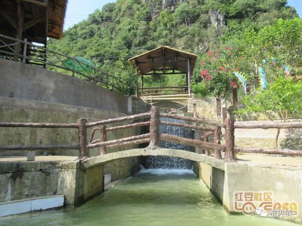 大新三联中屯、榄圩上吉乡间，稻作文化印记 24