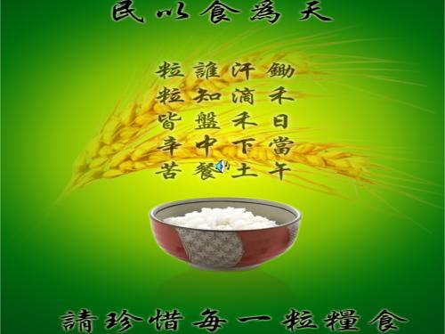 爱惜粮食，从我做起 浪费可耻700字作文