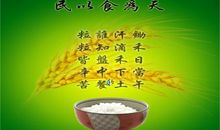 爱惜粮食，从我做起 浪费可耻700字作文