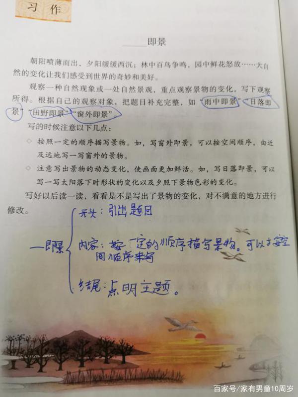 好大一场雨，五年级作文：《雨中即景》