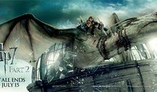 《哈利波特与死亡圣器》读后感800字