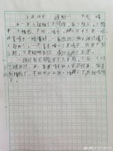 喂小鸡仔 日记一篇800字