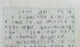 喂小鸡仔 日记一篇800字