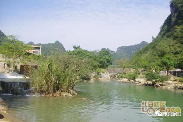 大新三联中屯、榄圩上吉乡间，稻作文化印记 20