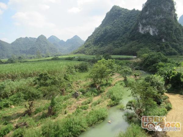大新三联中屯、榄圩上吉乡间，稻作文化印记 19