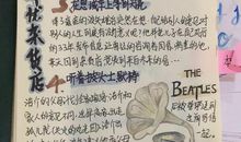 解忧杂货店的读书笔记3篇