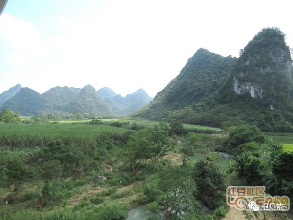 大新三联中屯、榄圩上吉乡间，稻作文化印记 18