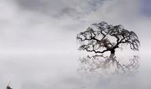 传统文化话题三篇优秀作文