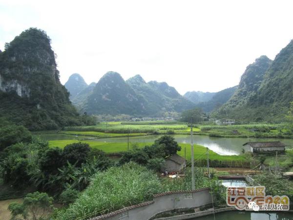 大新三联中屯、榄圩上吉乡间，稻作文化印记 17