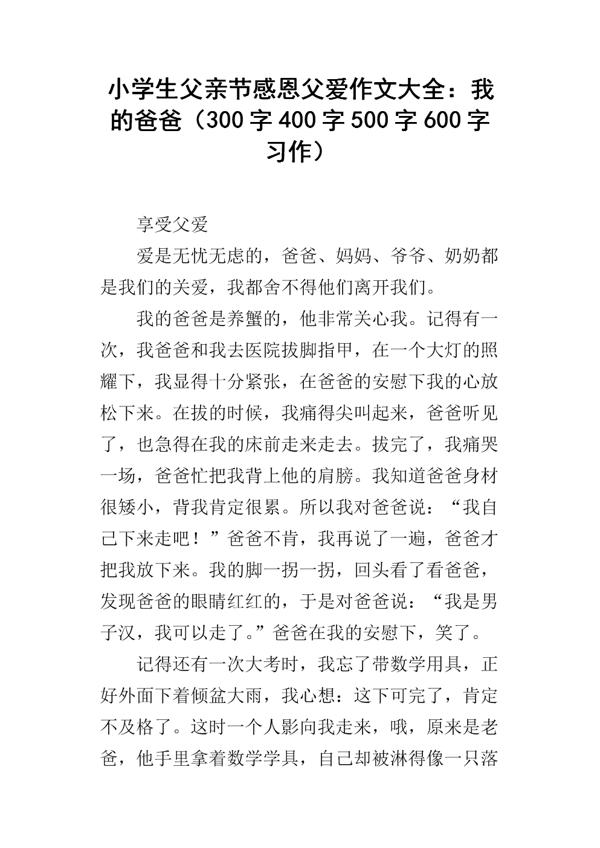 以父爱为话题的作文300字
