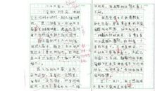 向日葵和石头的作文