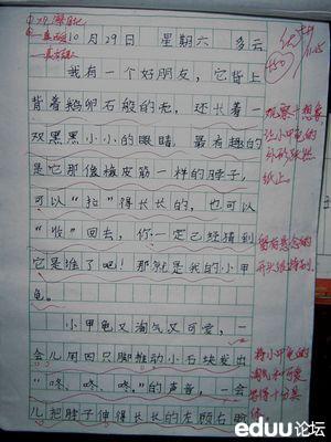 写一种小动物的作文五篇