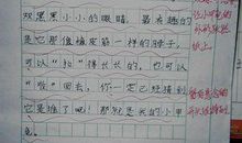 写一种小动物的作文五篇