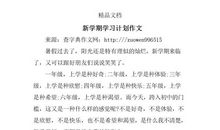 新学期新体验作文范文