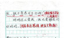 我与小树林 我的童年小天地作文500字