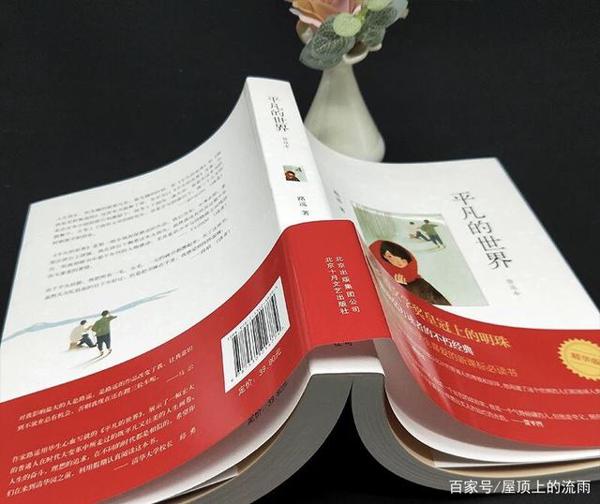 《平凡的世界》读后感 2