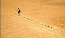 漫步在沙漠 沙漠旅游作文300字