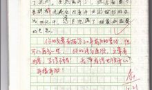 我的同桌门艾琳 五年级写人作文400字