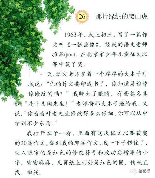 从明德路小学到吉大附中 描写爬山虎的作文1100字