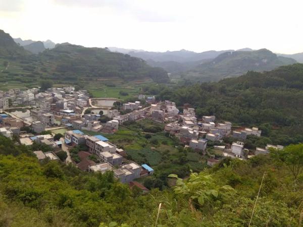 大新三联中屯、榄圩上吉乡间，稻作文化印记