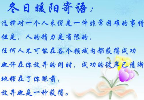 放弃也是一种美优秀高中作文精选