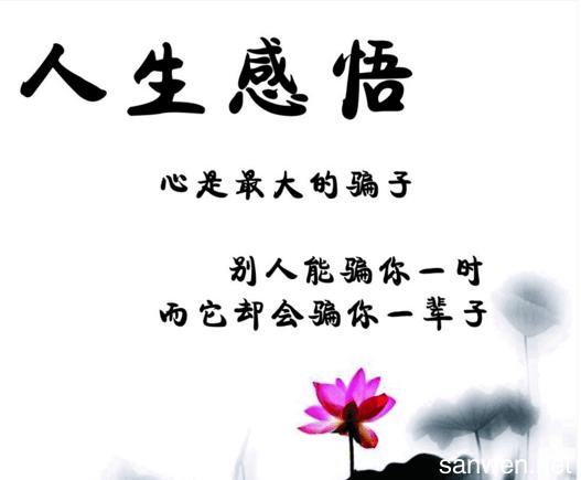 感悟人生励志箴言