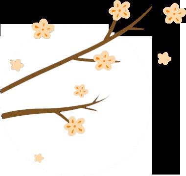 李白老师点评作文（八）