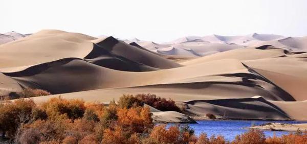 不会写作文就先学写日记！家长如何指导孩子写日记？要做好七要点