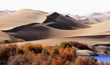 不会写作文就先学写日记！家长如何指导孩子写日记？要做好七要点