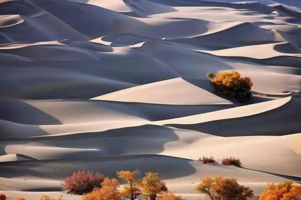 不会写作文就先学写日记！家长如何指导孩子写日记？要做好七要点 1