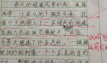 签字 四年级叙事作文700字