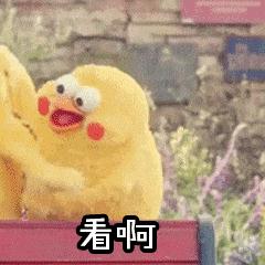那些年，为了写作文做过的挣扎 3