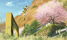 专升本英语作文真的要背作文模板吗？帮大家问了改卷老师，看看老师怎么说。