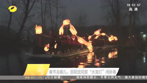 又见灯队闹新春散文