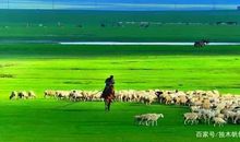 六年级作文：美丽的大草原