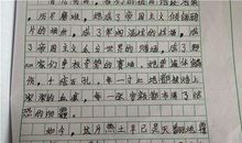 爱淘气的小男孩 我很淘气作文300字