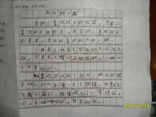 考试 小学生考试前心情作文300字